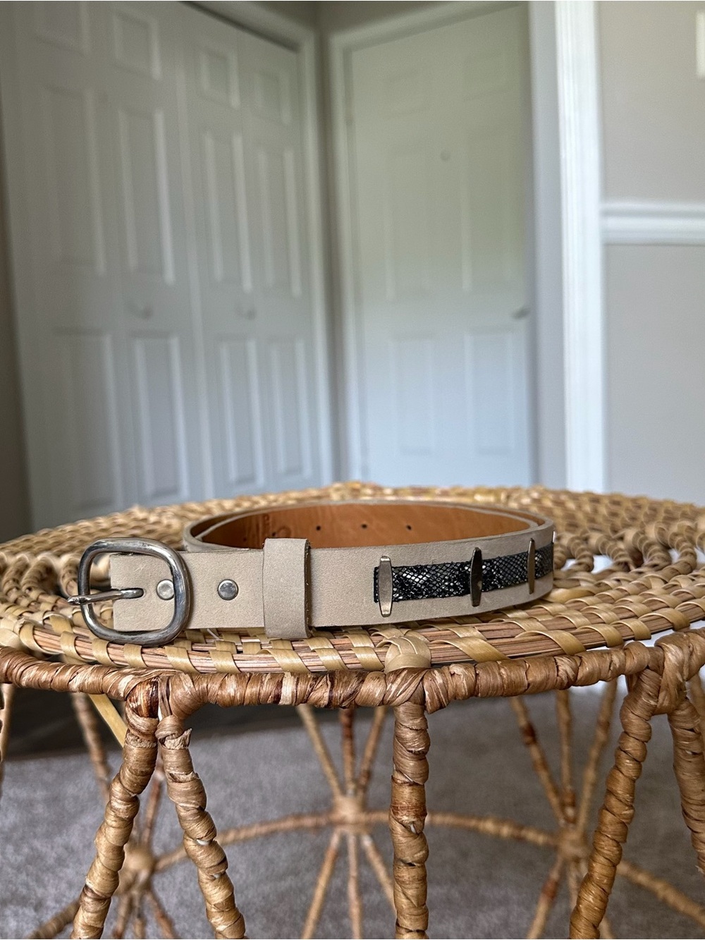 Calleen Cordero Taupe Leather Belt with Snakeprint Inlay and Silver Buckle